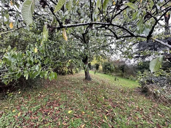 Terrain à bâtir Vente Fécamp   69000€