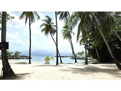 3.ILETS POINTE DU BOUT /LOCAL COMMERCIAL