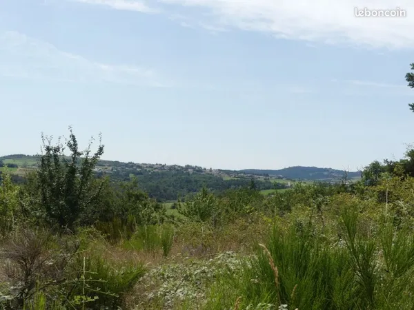 Terrain à vendre 8000m²