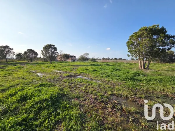Terrain 2230 m²