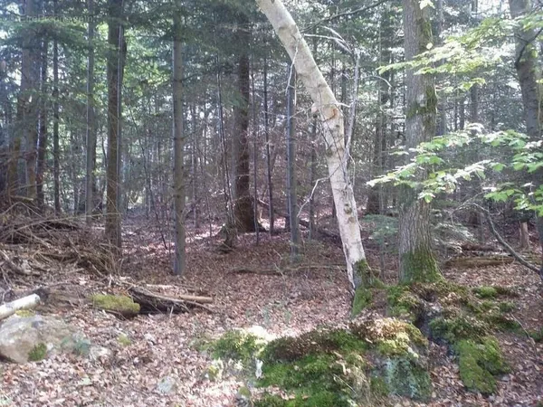 Terrain 3994 m²