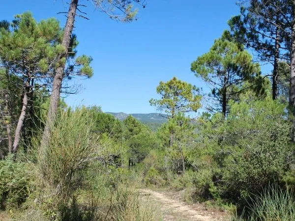 Terrain constructible 943 m²