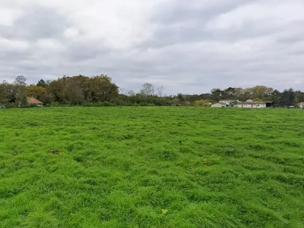 Terrain 983 m²