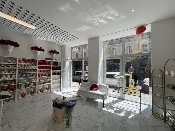 LOCATION PURE - RUE GIOFFREDO NICE