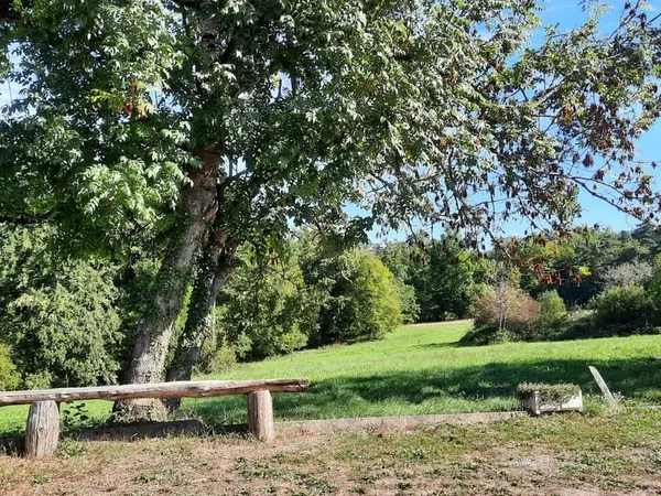Mise au vert - Terrain 1 100m2