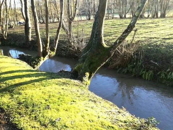 Vends chaumière avec cachet dans lieu idyllique et naturel - 75m²
