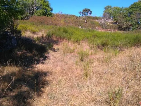 Terrain 4570 m²