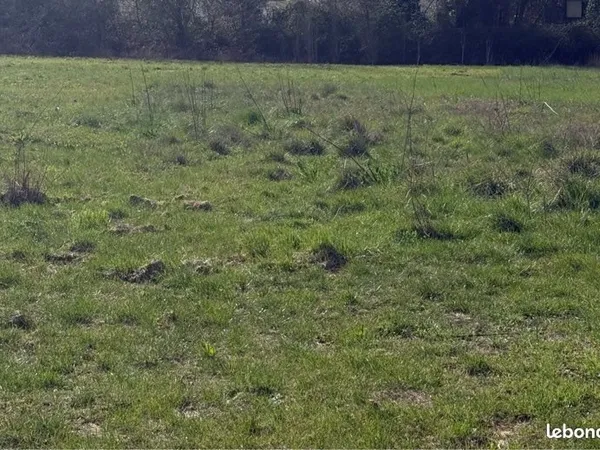 Terrain agricole