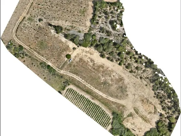 Terrain agricole 1,3 ha - 8 000 m² truffiers (120 chênes verts) - forage 80 m - clôturé - Sigean (11
