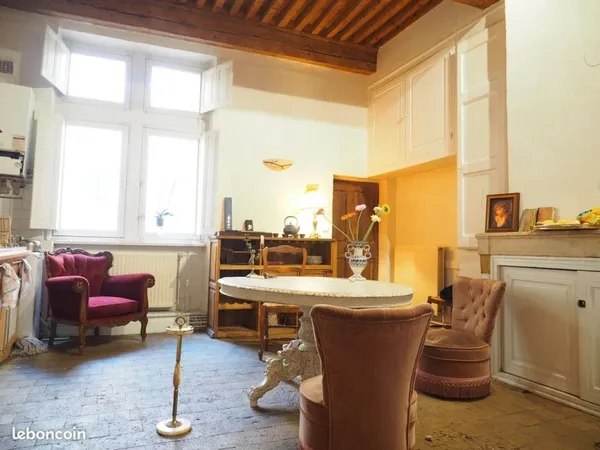 Chambre dans 100m2 Apparte historique (Pentes de la Croix-Rousse)