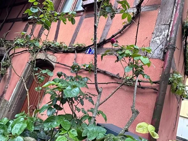 🔥 OPPORTUNITÉ À SAISIR - Maison 100 m² + grenier avec fort potentiel 🔥