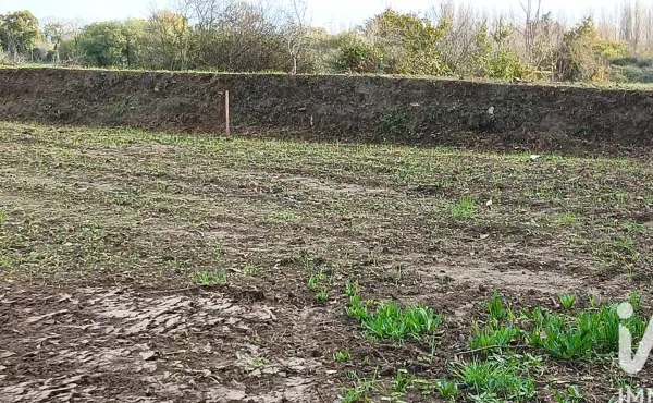 Terrain 460 m²