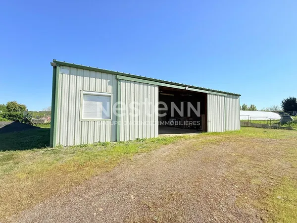 Entrepôt / local - Doué En Anjou -120 m2 - D6018
