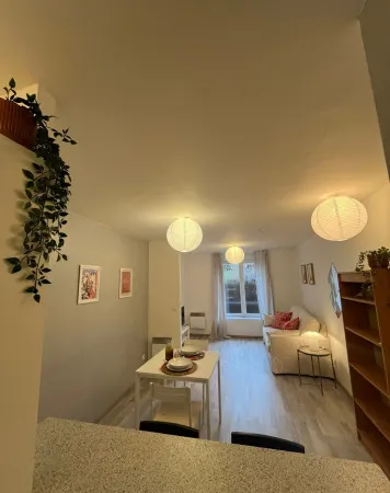 Appartement Location Nancy 1p 29m² 480€