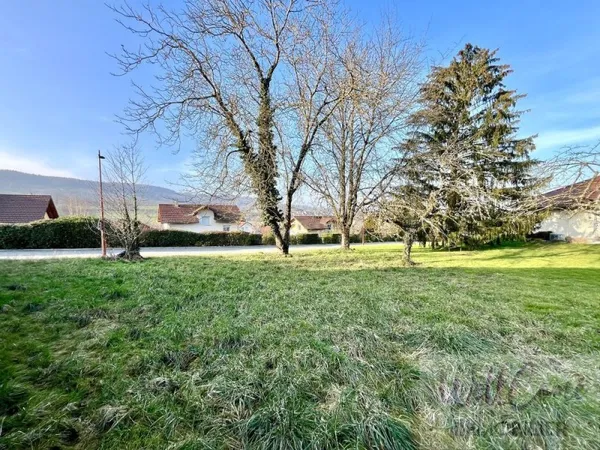 Terrain constructible
