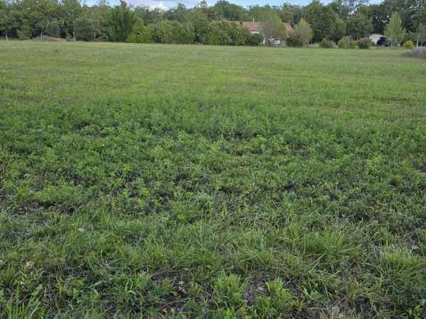 Terrain 1630 m²