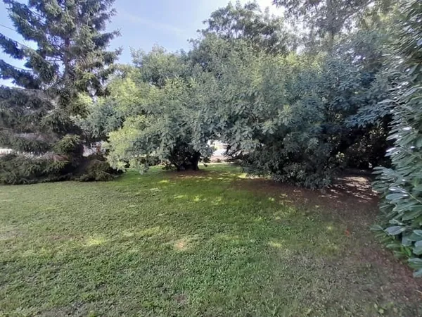 Terrain 442 m²