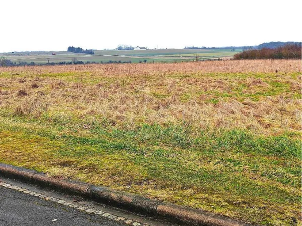 Terrain 232 m²