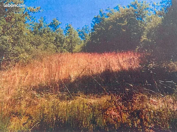 À vendre terrain de 5493m2 a Saint André D'Allas