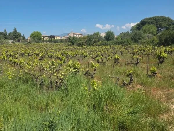 Terrain 713m2 - Mazan