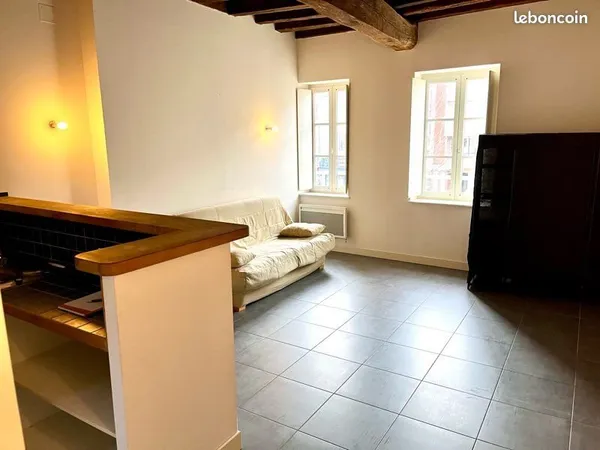 Studio F1 31m2 centre ville