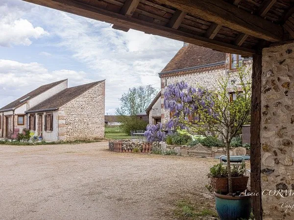 Magnifique Ferme rénovée à vendre 250m2 à Bonnée (45), Gîtes, au calme