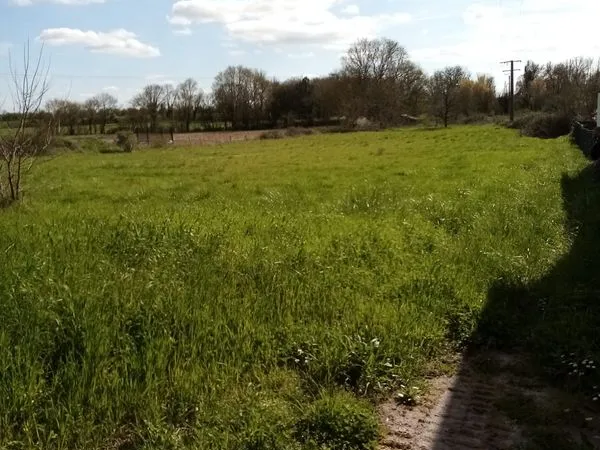 Terrain constructible