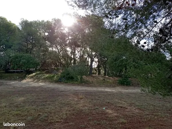 Terrain de loisir clôturé pour chevaux