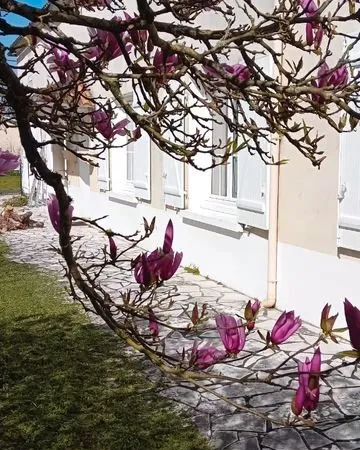 Maison familiale près de langon