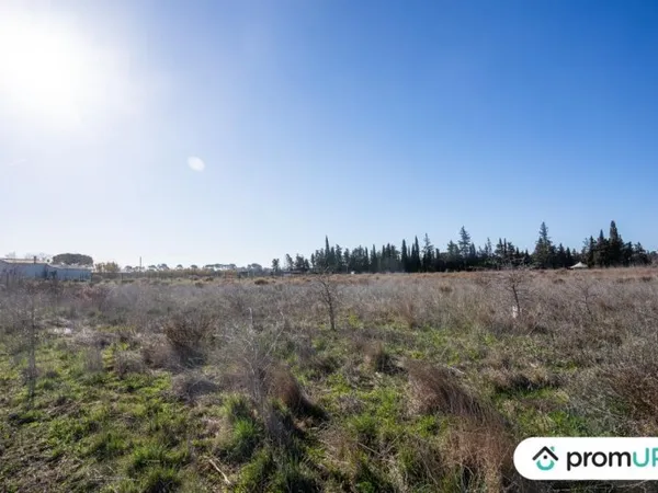 Terrain agricole de 3200 m2 à PORTIRAGNES