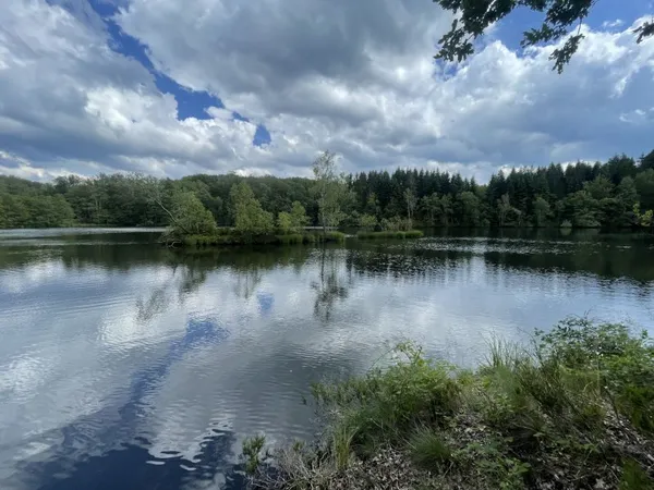 Vente superbe étang de 2,5 ha env, sur un terrain total de 3
