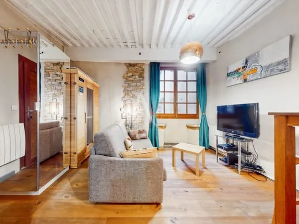 STUDIO ANNECY VIEILLE VILLE 1 pièce(s) 31 m2