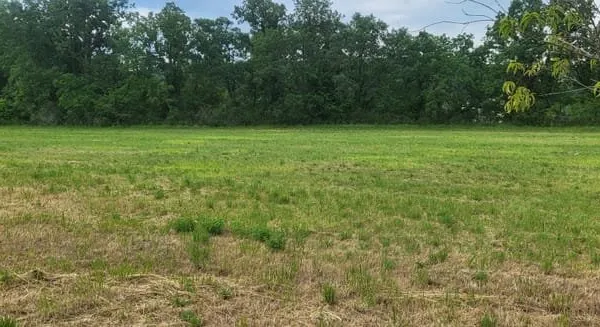 Votre futur projet de vie à Lisle