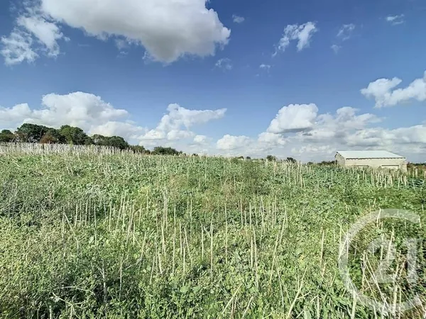 Terrain 950 m²