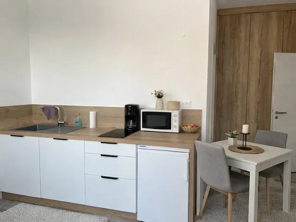 Studio neuf Idéal pied-à-terre touristique à Drachenbronn