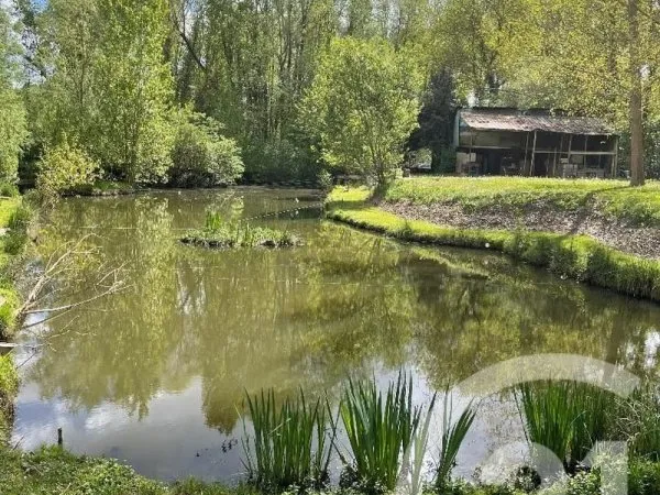 Terrain 5390 m²