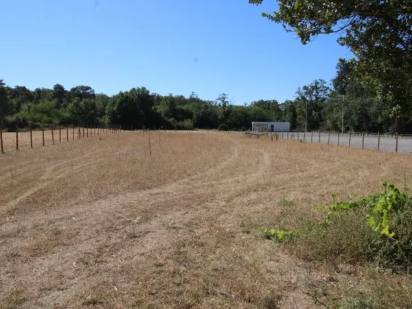 Terrain Targe 3601 m2