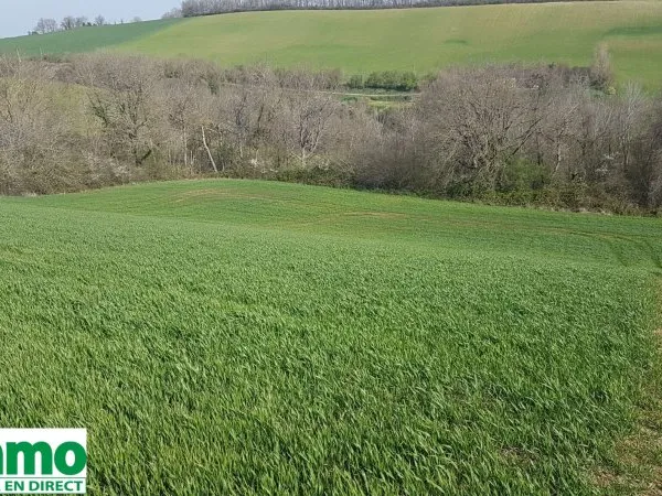 GAILLAC-TOULZA Terrain 7000 m2