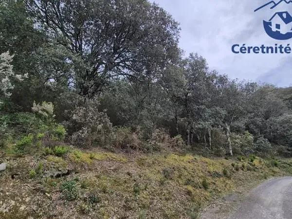 TERRAIN BOISE DE 12665m2