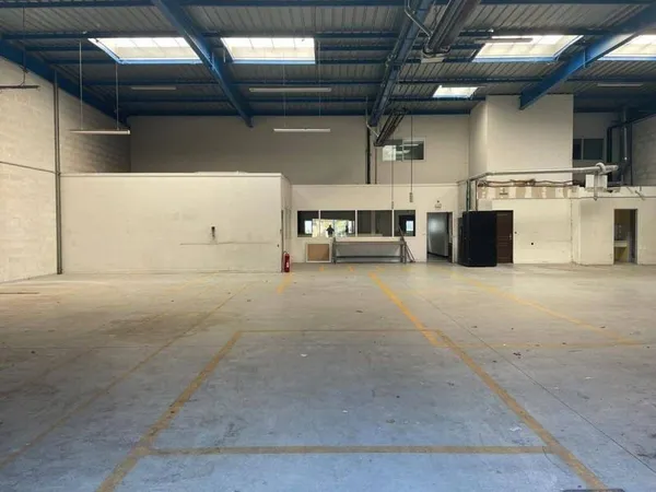 Local d'activité 3 pièces 700 m²