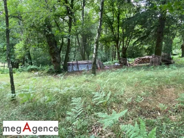 Terrain en individuel 2355 m²