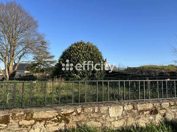 Terrain 446 m²