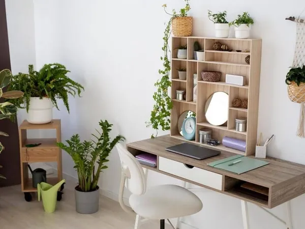 Studio 1 pièce 32 m²