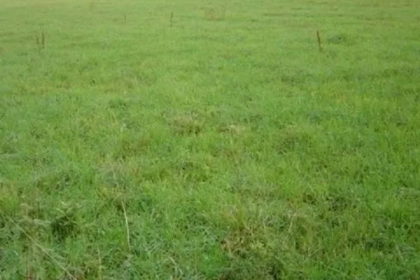 Terrain 459 m²