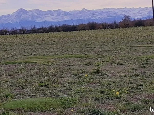 Terrain à bâtir