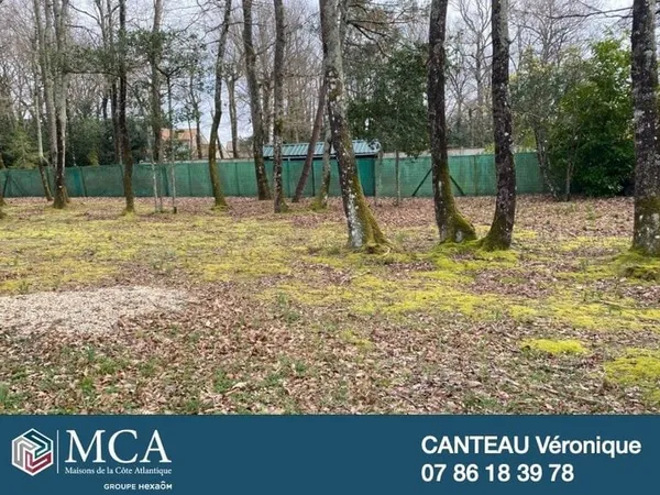 Terrain 1135 m²
