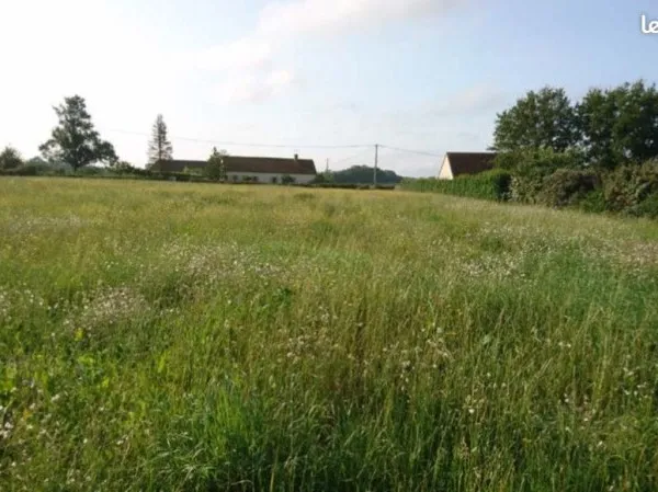 Terrain constructible