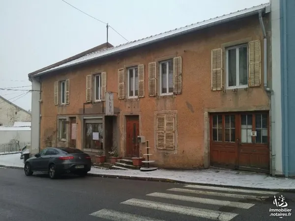 Local d'activités