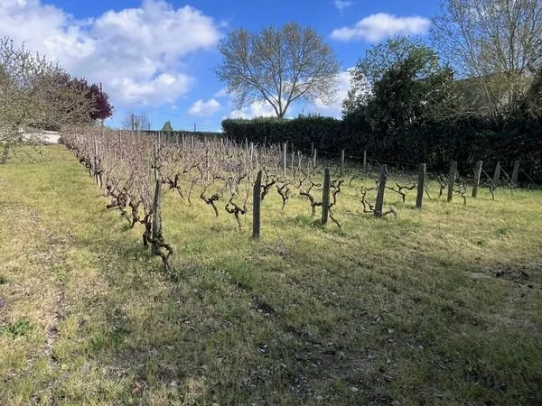 Terrain 795 m² Montjean-sur-Loire