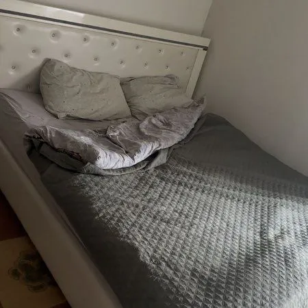 Chambre à louer